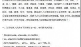 惠东民声爆料事件始末最新消息,最新进展与始末回顾